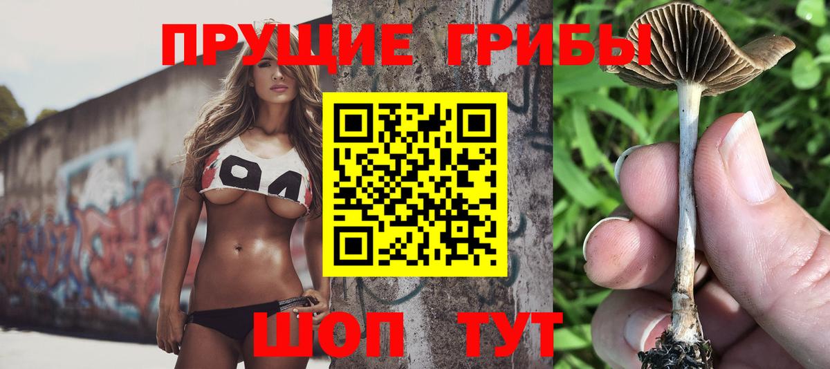 Щёкино  Псилоцибиновые грибы ЛСД  Вход с VPN 